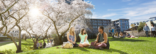 8 trường đại học danh tiếng tại New Zealand